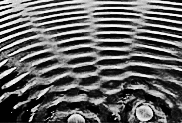 Иллюстрация к книге — Физика на пальцах. Для детей и родителей, которые хотят объяснять детям [i_061.jpg]