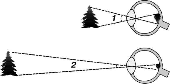 Иллюстрация к книге — Физика на пальцах. Для детей и родителей, которые хотят объяснять детям [i_072.jpg]