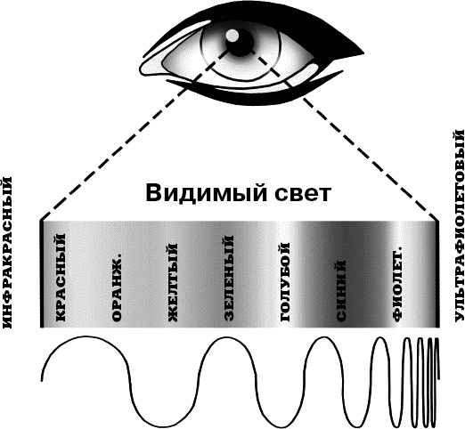 Иллюстрация к книге — Физика на пальцах. Для детей и родителей, которые хотят объяснять детям [i_073.jpg]