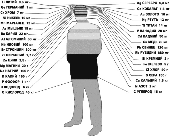 Иллюстрация к книге — Физика на пальцах. Для детей и родителей, которые хотят объяснять детям [i_099.jpg]