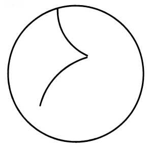 Иллюстрация к книге — Нильс Бор. Квантовая модель атома [img_39.jpg]