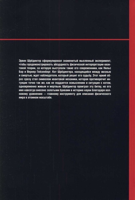 Иллюстрация к книге — На волне Вселенной. Шрёдингер. Квантовые парадоксы [img_130.jpg]