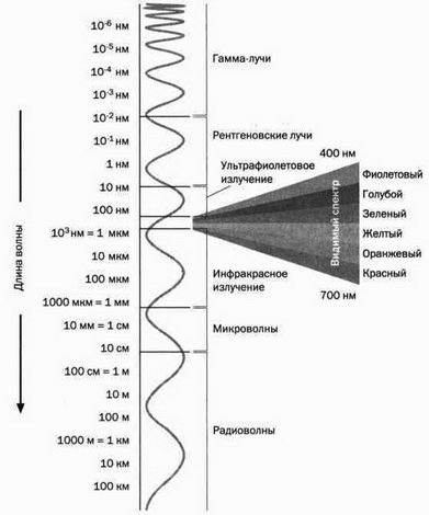 Иллюстрация к книге — На волне Вселенной. Шрёдингер. Квантовые парадоксы [img_3.jpg]