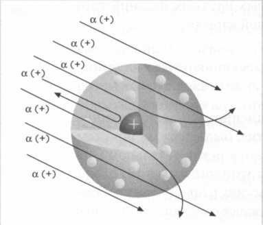 Иллюстрация к книге — Лиза Мейтнер. Расщепление ядра [img_20.jpg]