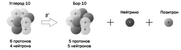 Иллюстрация к книге — Лиза Мейтнер. Расщепление ядра [img_26.jpg]