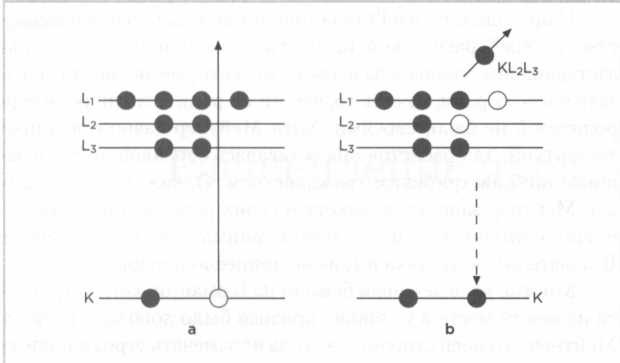 Иллюстрация к книге — Лиза Мейтнер. Расщепление ядра [img_35.jpg]