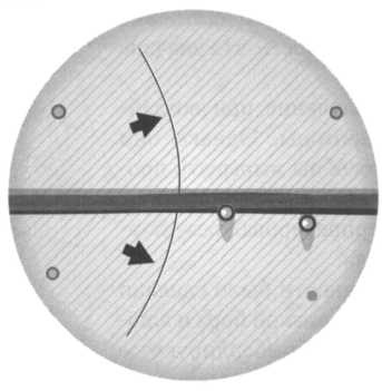 Иллюстрация к книге — Лиза Мейтнер. Расщепление ядра [img_39.jpg]