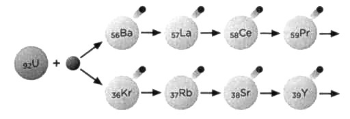 Иллюстрация к книге — Лиза Мейтнер. Расщепление ядра [img_49.jpg]