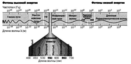 Иллюстрация к книге — Резерфорд. Атомное ядро [img_25.jpg]