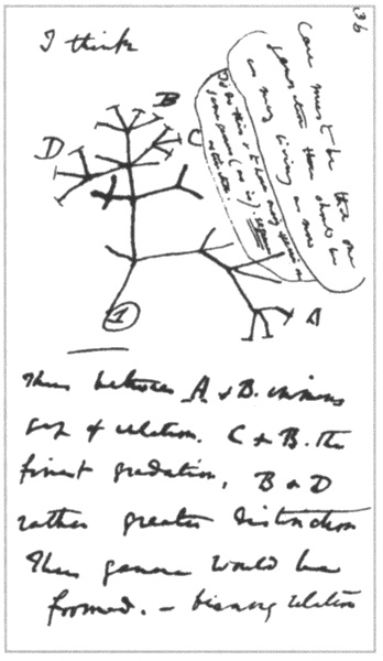 Иллюстрация к книге — Фарадей. Электромагнитная индукция [i_018.jpg]