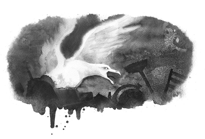 Иллюстрация к книге — Холодная вода Венисаны [i_015.jpg]