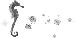 Иллюстрация к книге — Холодная вода Венисаны [i_019.jpg]