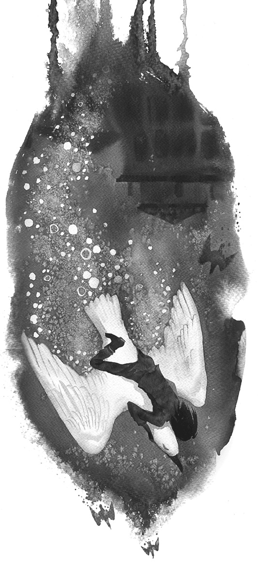 Иллюстрация к книге — Холодная вода Венисаны [i_027.jpg]