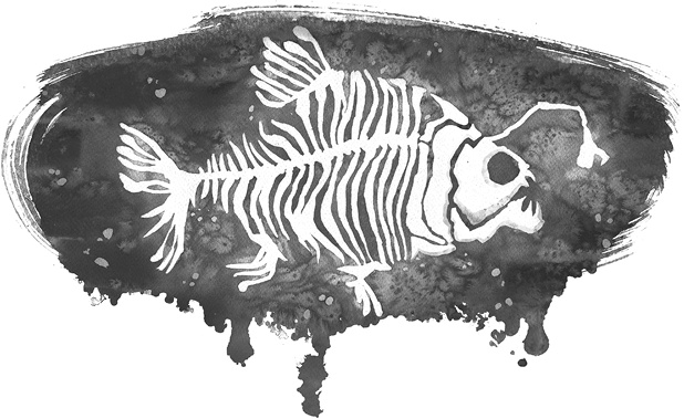 Иллюстрация к книге — Холодная вода Венисаны [i_036.jpg]