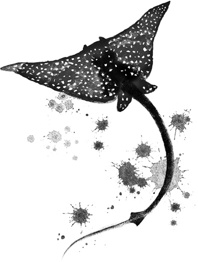 Иллюстрация к книге — Холодная вода Венисаны [i_041.jpg]