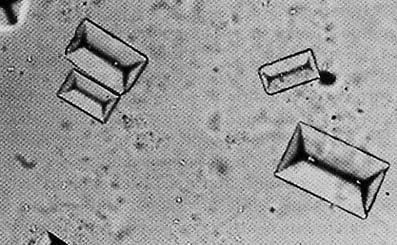 Иллюстрация к книге — Занимательная химия для детей и взрослых [autogen_ebook_id11.jpg]