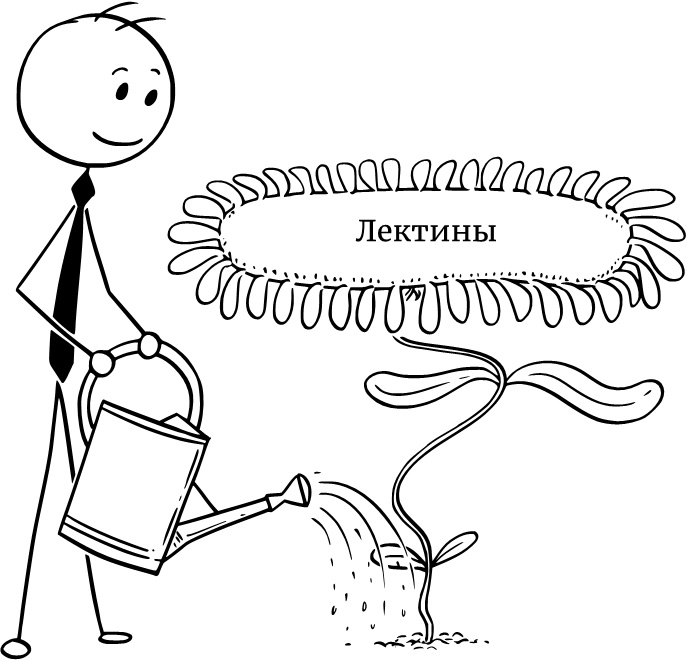 Иллюстрация к книге — Парадокс растений. Скрытые опасности "здоровой" пищи. Как продукты питания убивают нас, лишая здоровья, молодости и красоты [i_006.jpg]