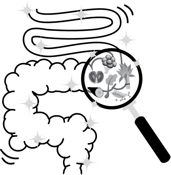 Иллюстрация к книге — Парадокс растений. Скрытые опасности "здоровой" пищи. Как продукты питания убивают нас, лишая здоровья, молодости и красоты [i_013.jpg]