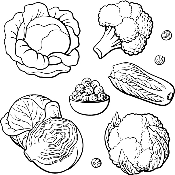 Иллюстрация к книге — Парадокс растений. Скрытые опасности "здоровой" пищи. Как продукты питания убивают нас, лишая здоровья, молодости и красоты [i_039.jpg]