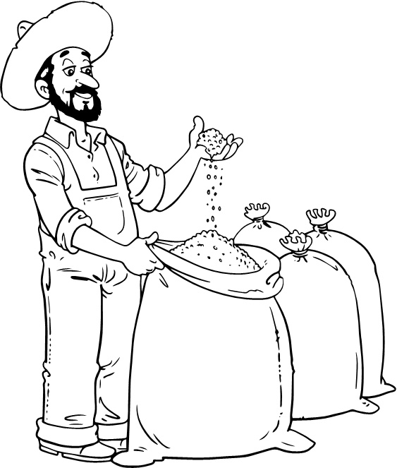 Иллюстрация к книге — Парадокс растений. Скрытые опасности "здоровой" пищи. Как продукты питания убивают нас, лишая здоровья, молодости и красоты [i_063.jpg]