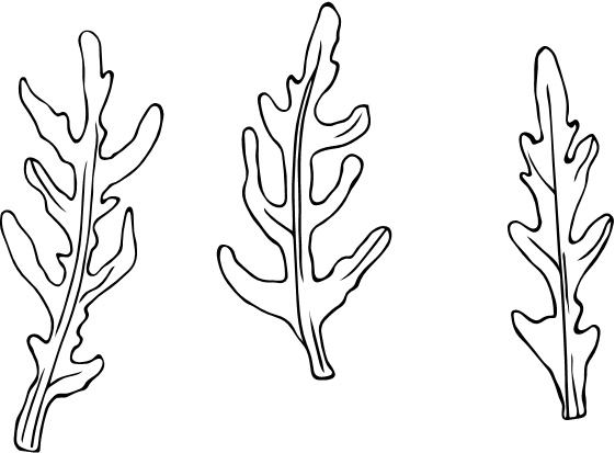 Иллюстрация к книге — Парадокс растений. Скрытые опасности "здоровой" пищи. Как продукты питания убивают нас, лишая здоровья, молодости и красоты [i_118.jpg]