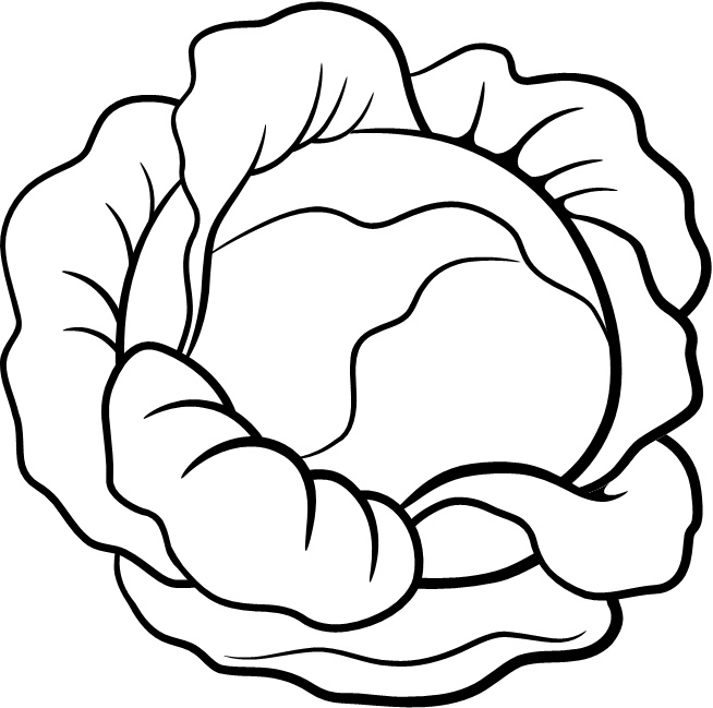 Иллюстрация к книге — Парадокс растений. Скрытые опасности "здоровой" пищи. Как продукты питания убивают нас, лишая здоровья, молодости и красоты [i_123.jpg]