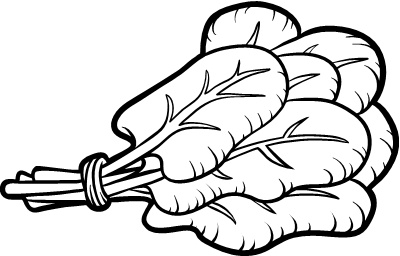 Иллюстрация к книге — Парадокс растений. Скрытые опасности "здоровой" пищи. Как продукты питания убивают нас, лишая здоровья, молодости и красоты [i_136.jpg]