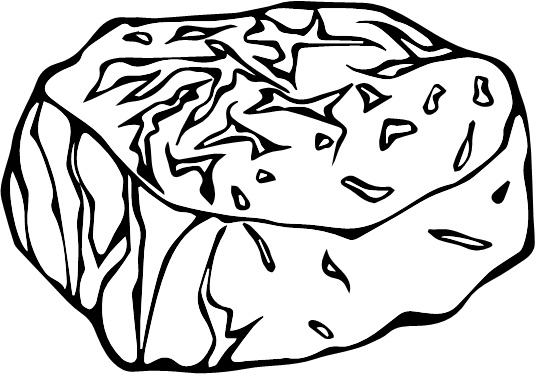 Иллюстрация к книге — Парадокс растений. Скрытые опасности "здоровой" пищи. Как продукты питания убивают нас, лишая здоровья, молодости и красоты [i_145.jpg]