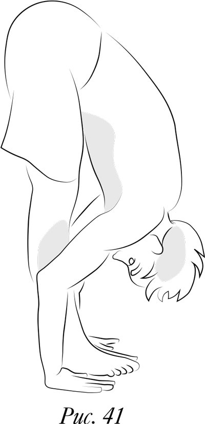 Иллюстрация к книге — Йога. 7 духовных законов. Как исцелить свое тело, разум и дух [i_050.jpg]