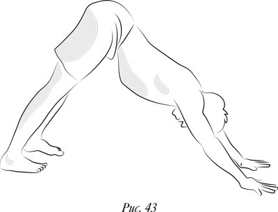 Иллюстрация к книге — Йога. 7 духовных законов. Как исцелить свое тело, разум и дух [i_052.jpg]