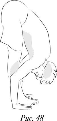 Иллюстрация к книге — Йога. 7 духовных законов. Как исцелить свое тело, разум и дух [i_057.jpg]