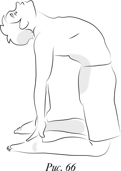 Иллюстрация к книге — Йога. 7 духовных законов. Как исцелить свое тело, разум и дух [i_076.jpg]