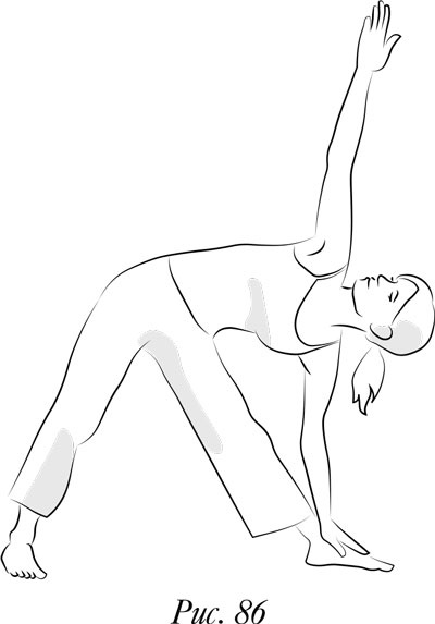 Иллюстрация к книге — Йога. 7 духовных законов. Как исцелить свое тело, разум и дух [i_092.jpg]