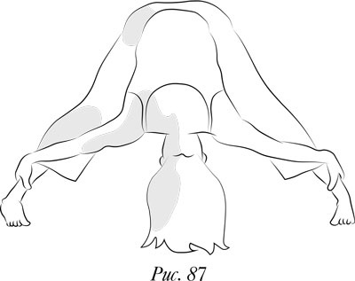 Иллюстрация к книге — Йога. 7 духовных законов. Как исцелить свое тело, разум и дух [i_093.jpg]