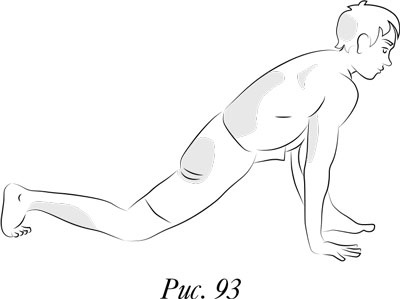 Иллюстрация к книге — Йога. 7 духовных законов. Как исцелить свое тело, разум и дух [i_100.jpg]