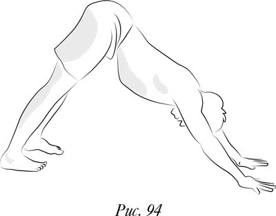 Иллюстрация к книге — Йога. 7 духовных законов. Как исцелить свое тело, разум и дух [i_101.jpg]