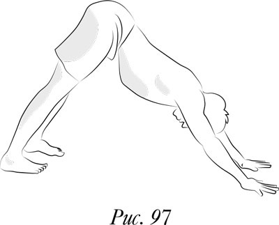 Иллюстрация к книге — Йога. 7 духовных законов. Как исцелить свое тело, разум и дух [i_104.jpg]