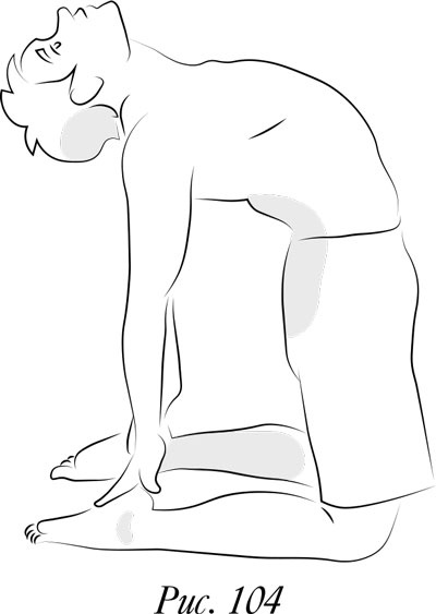 Иллюстрация к книге — Йога. 7 духовных законов. Как исцелить свое тело, разум и дух [i_110.jpg]