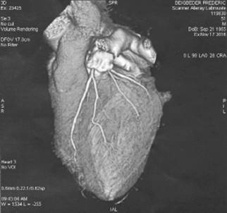 Иллюстрация к книге — Вечная жизнь [i_001.jpg]