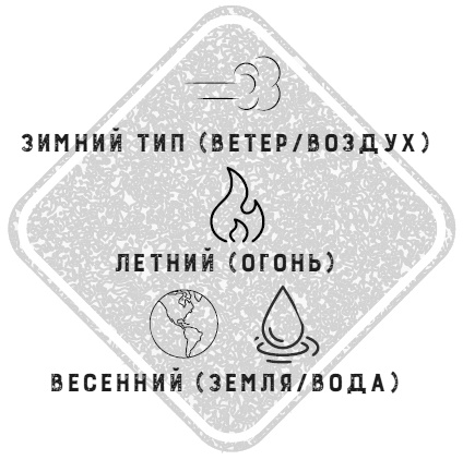 Иллюстрация к книге — Дети 2+. Инструкция по применению [i_002.jpg]