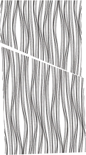 Иллюстрация к книге — Под струной [i_009.jpg]