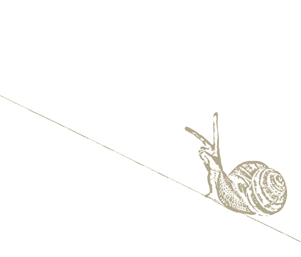 Иллюстрация к книге — Тайные виды на гору Фудзи [i_002.jpg]