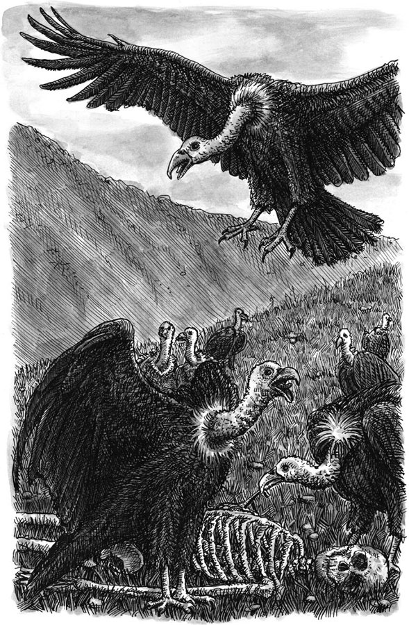 Иллюстрация к книге — Уйти красиво. Удивительные похоронные обряды разных стран [i_042.jpg]