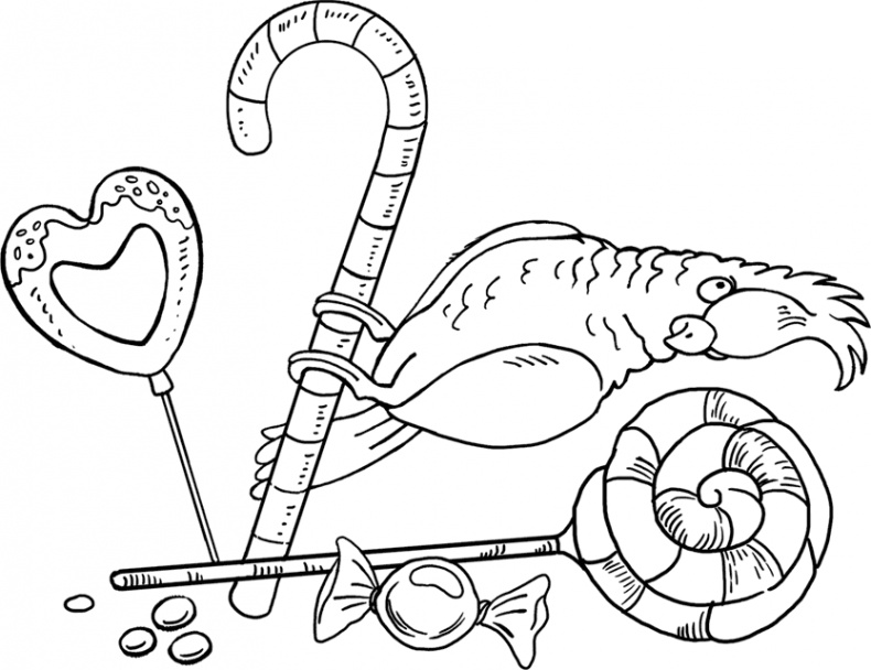 Иллюстрация к книге — Когда утонет черепаха [i_007.jpg]