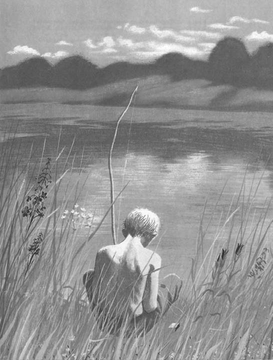 Иллюстрация к книге — Василий Белов. Рассказы о всякой живности [i_005.jpg]