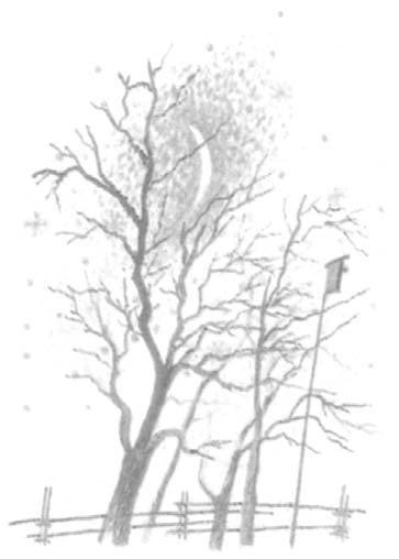 Иллюстрация к книге — Василий Белов. Рассказы о всякой живности [i_016.jpg]