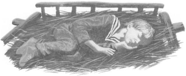 Иллюстрация к книге — Василий Белов. Рассказы о всякой живности [i_022.jpg]