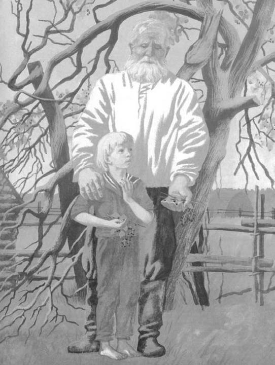 Иллюстрация к книге — Василий Белов. Рассказы о всякой живности [i_023.jpg]