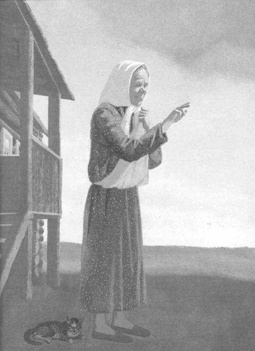 Иллюстрация к книге — Василий Белов. Рассказы о всякой живности [i_024.jpg]