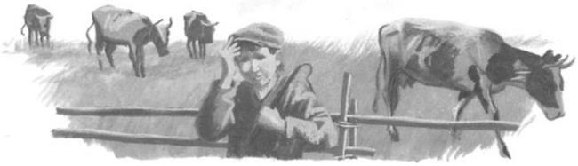 Иллюстрация к книге — Василий Белов. Рассказы о всякой живности [i_027.jpg]